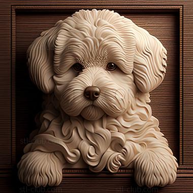 3D model st Bichon frise dog (STL)